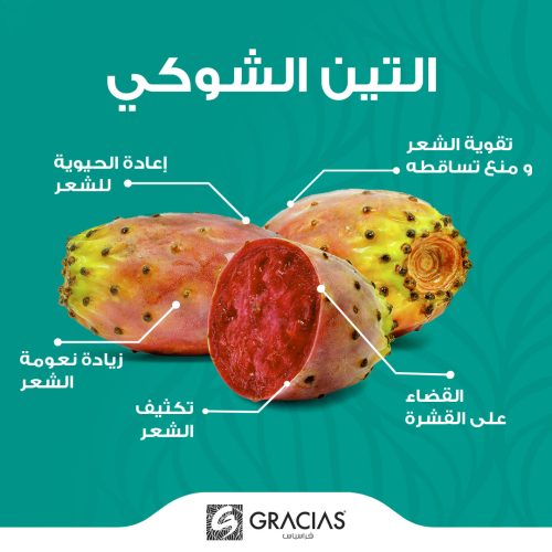 Gracias - Shampoo Sulfate Free